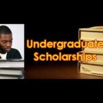 Scholarships for Nigerian Undergraduates